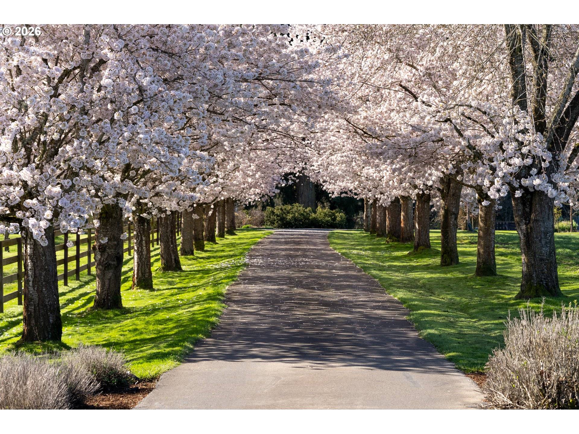 21200 SE OLD BETHEL RD, Amity, OR 97101