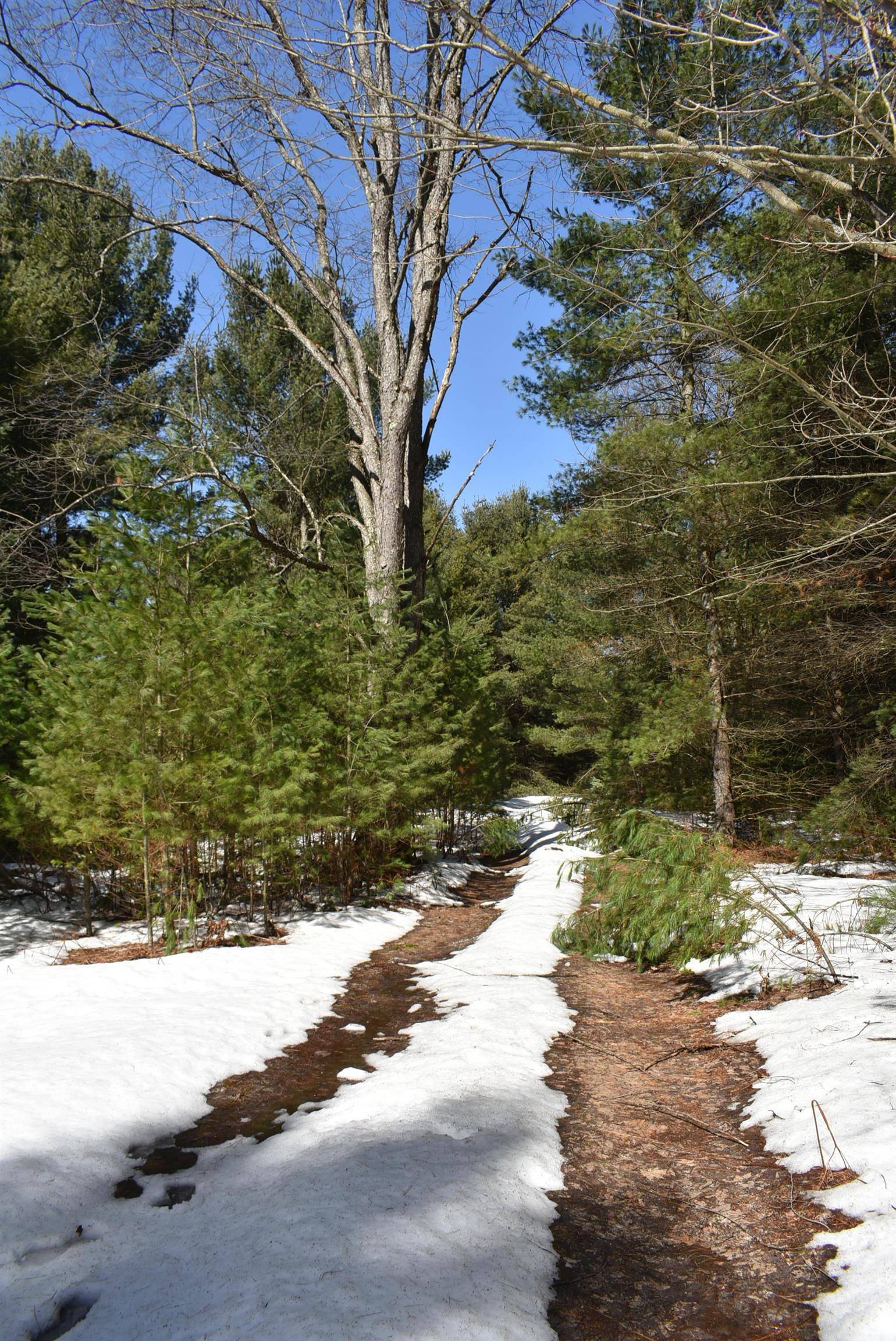 Roop RD, Paradise Twp, MI 49649