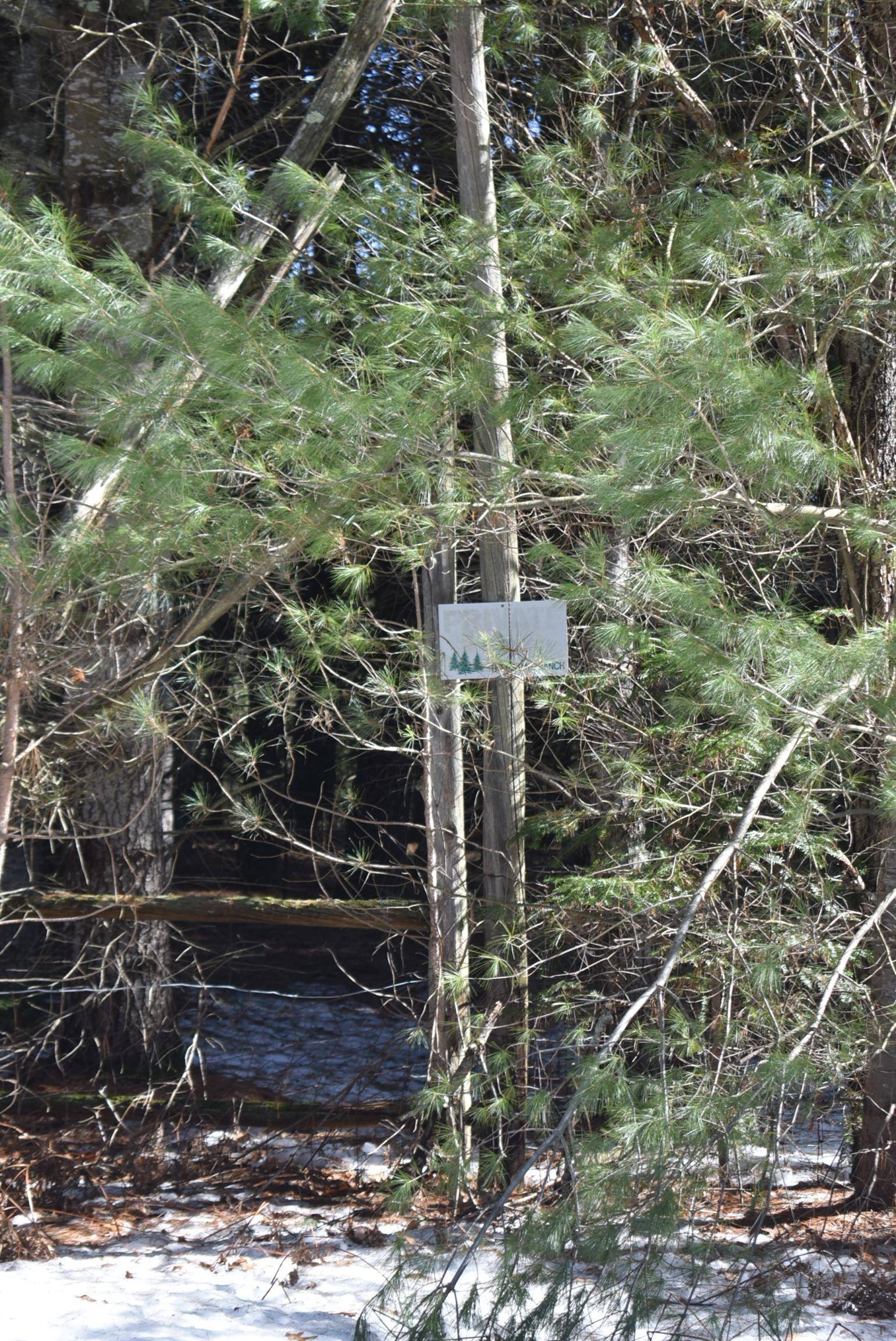 Roop RD, Paradise Twp, MI 49649