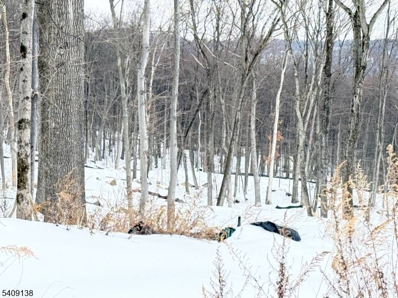 10 Bristol Ridge Rd, Boonton Twp., NJ 07005