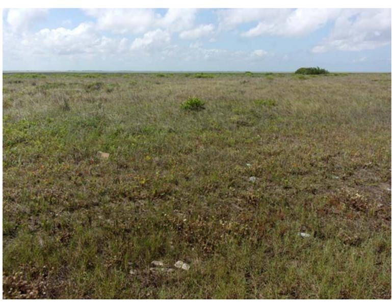 TBD County Road 257, Freeport, TX 77541
