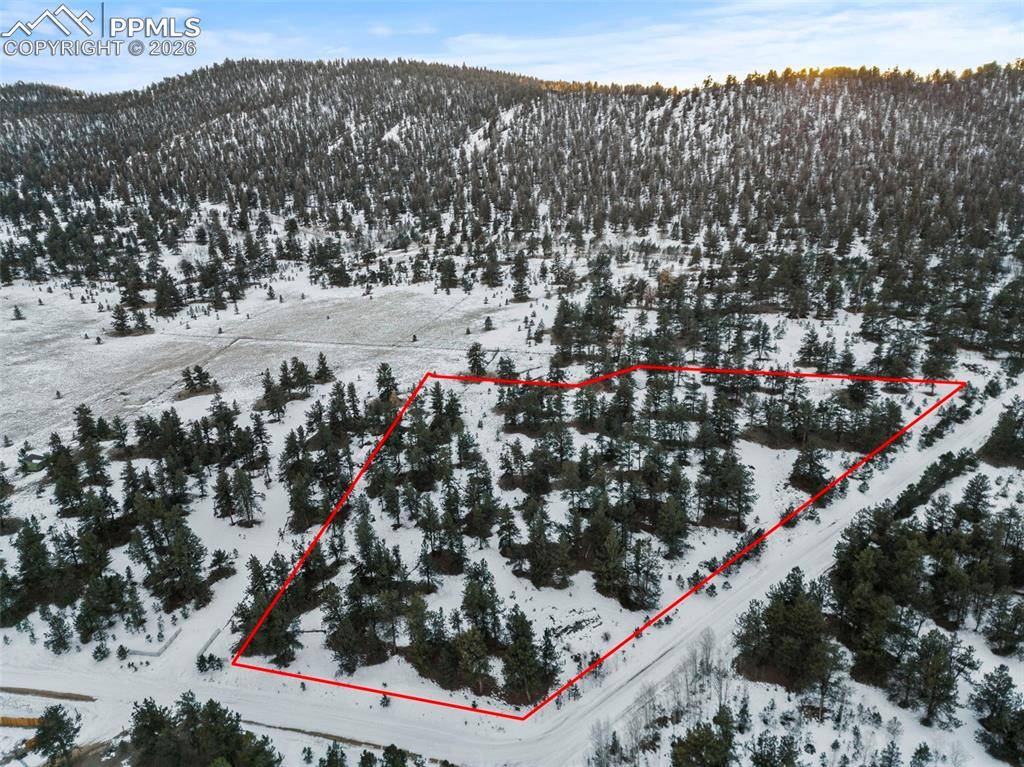 3948 S Muley Gulch DR, Hartsel, CO 80449