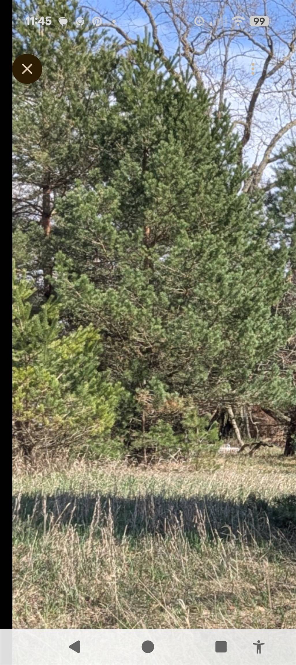 1005 Kent ST, Broomfield Twp, MI 48893