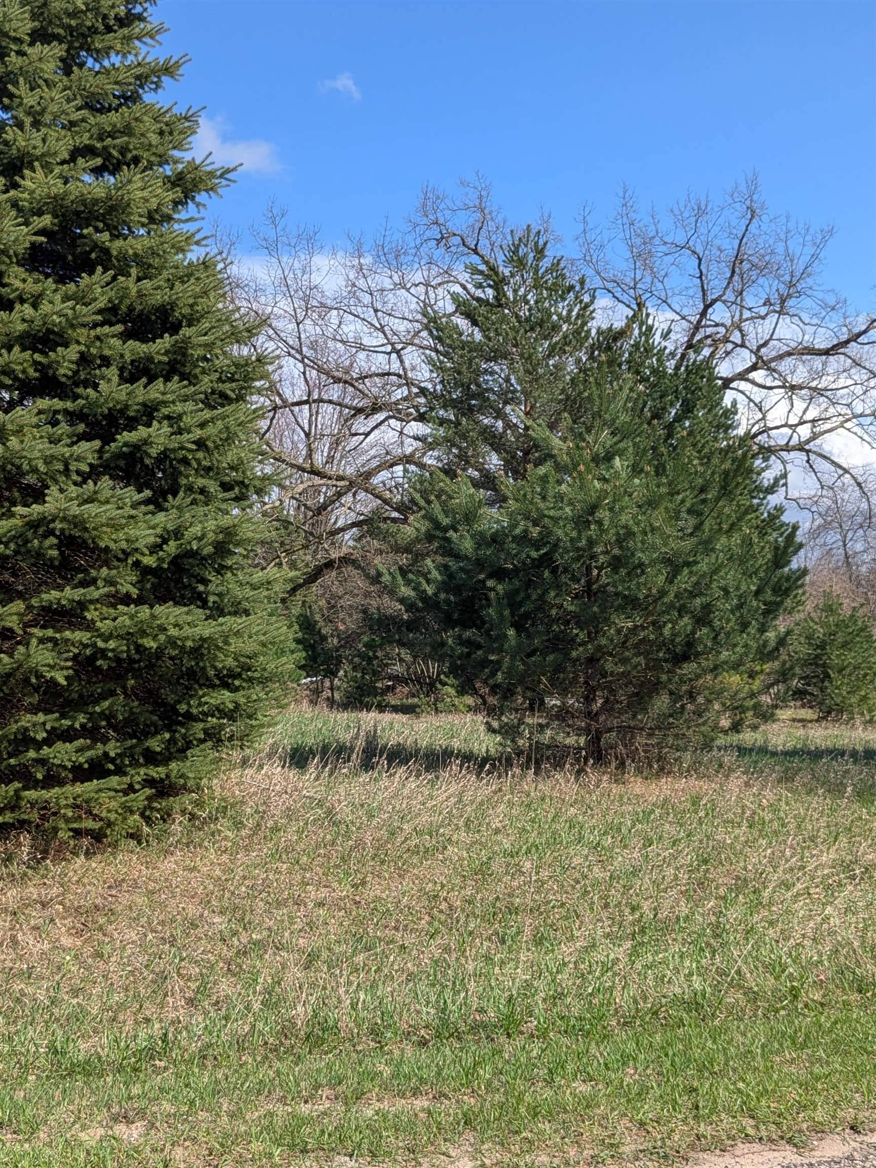 1007 Kent ST, Broomfield Twp, MI 48893