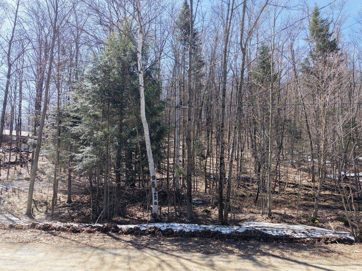 0 Mink Lot 17 RD, Dysart Et Al, ON K0M 1S0