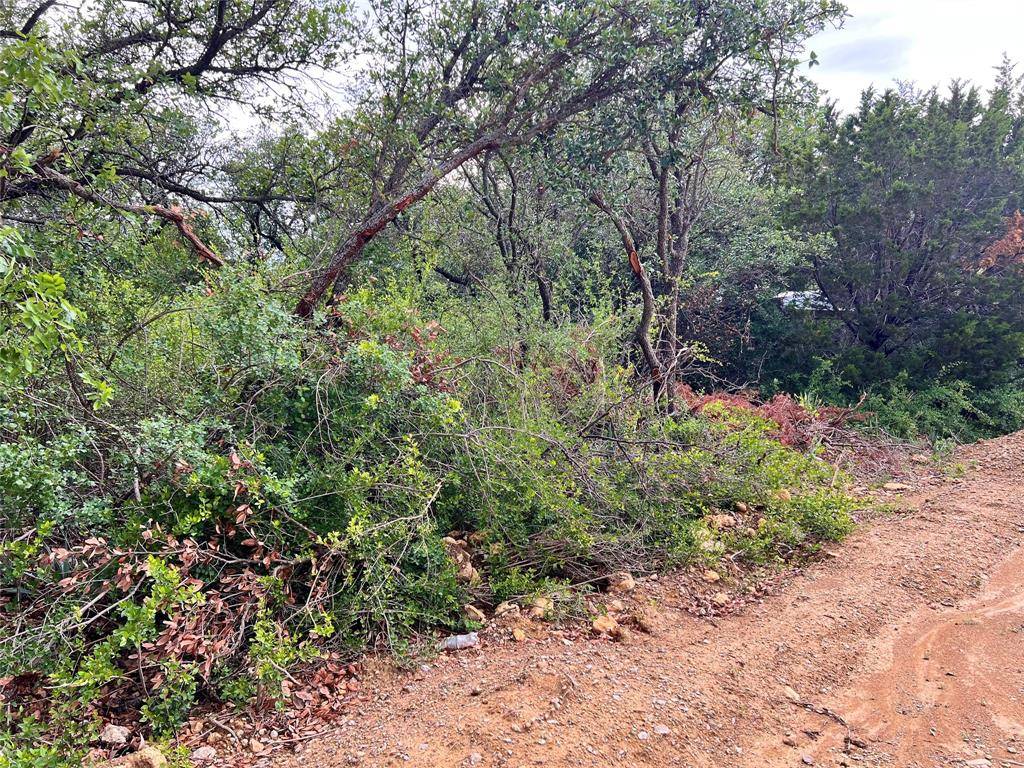 Lot 160 Luker Circle, Brownwood, TX 76801