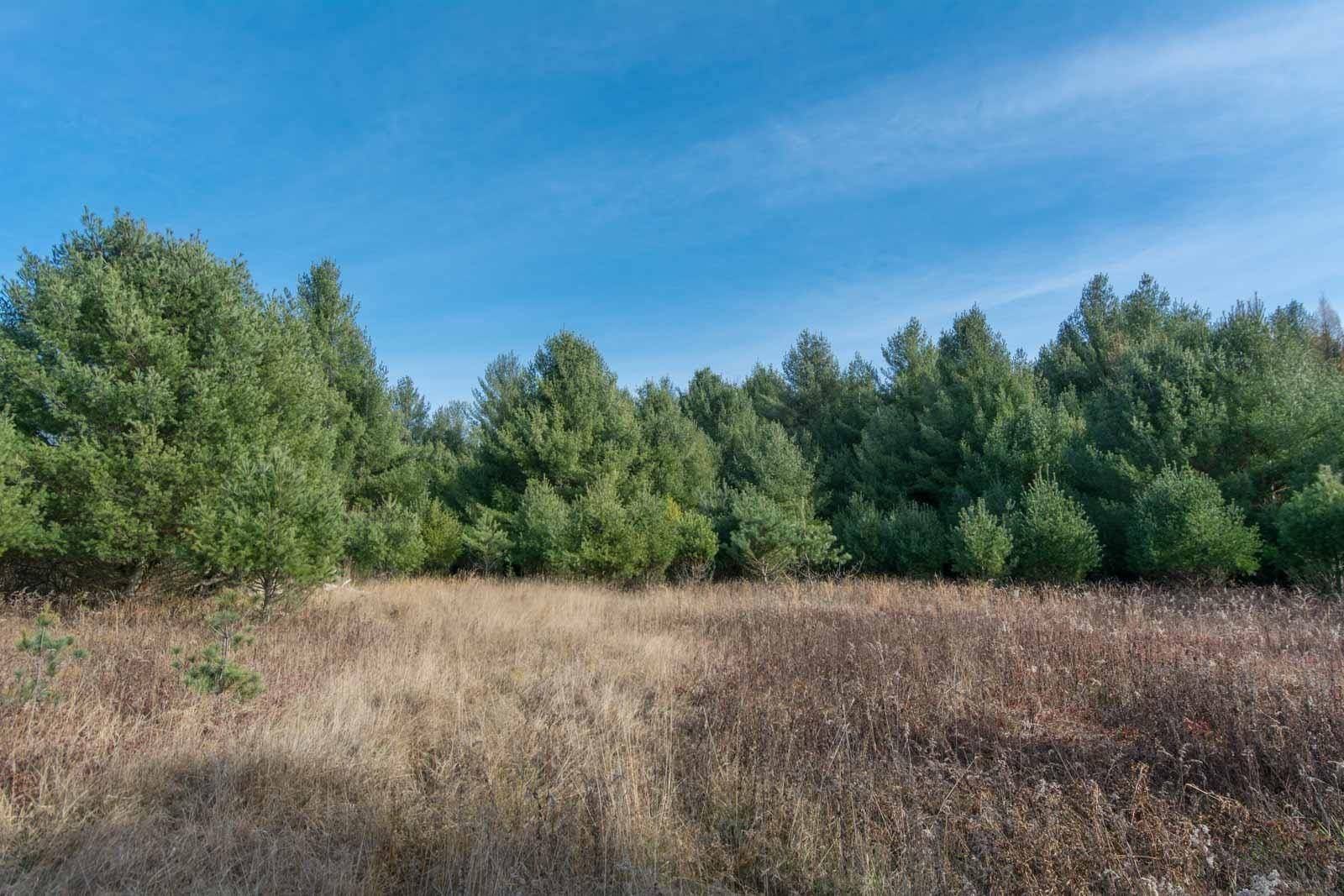 0000 E Bellinger RD, Kasson Twp, MI 49621