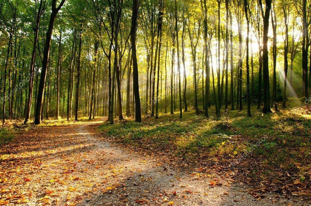 5408 W Fawn TER, Lincoln Twp, MI 48622