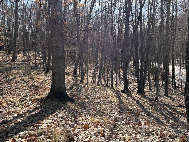 5408 W Fawn TER, Lincoln Twp, MI 48622