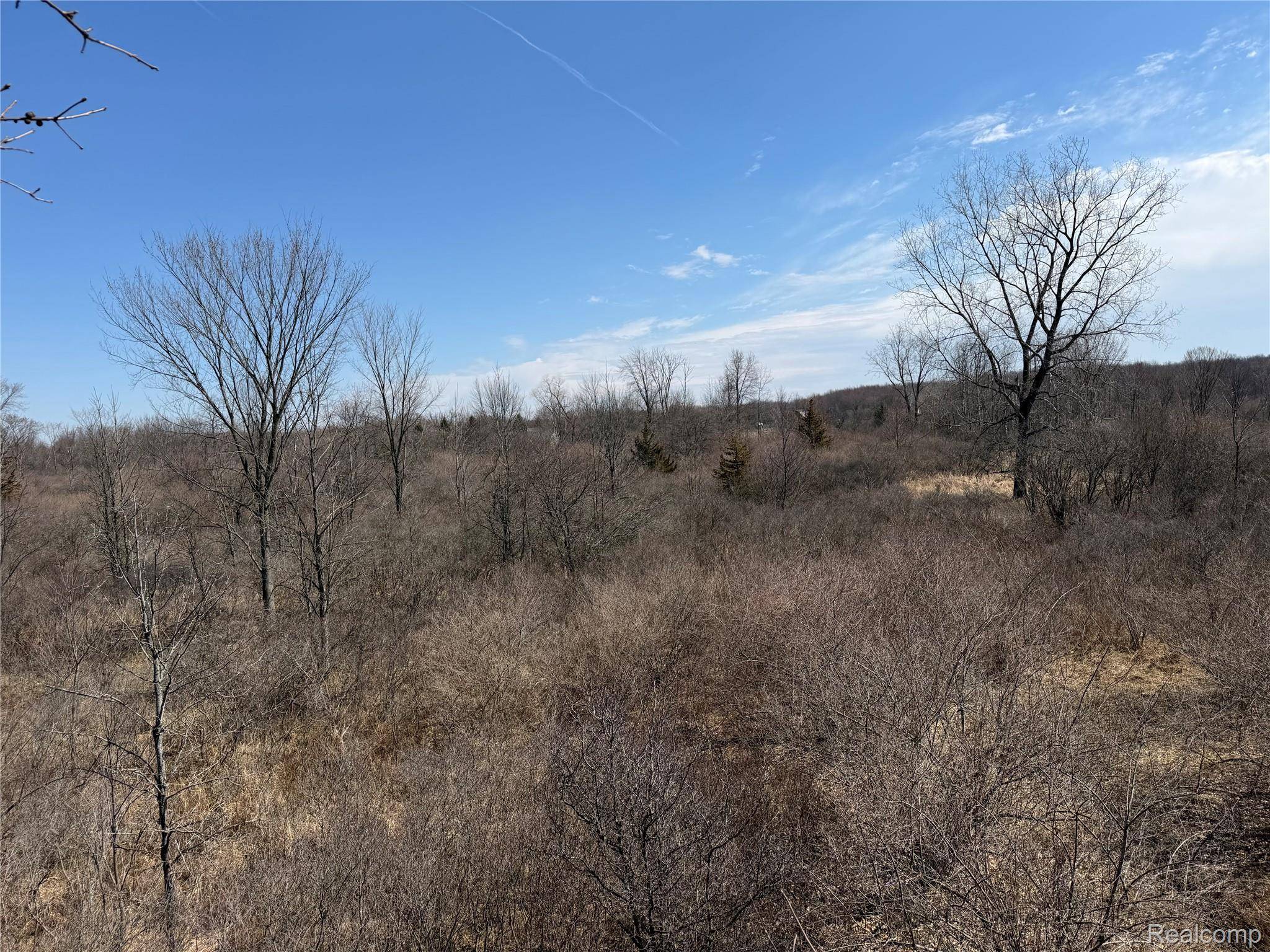 00 Capac, Lynn Township, MI 48416