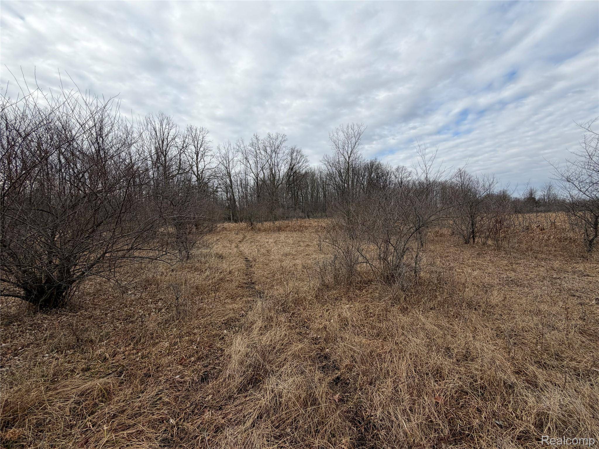 00 Capac, Lynn Township, MI 48416