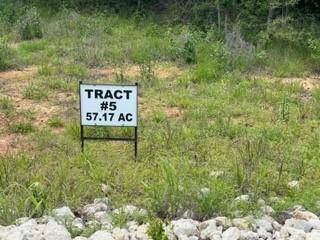 TBD 5 FM 1848, Buffalo, TX 75831