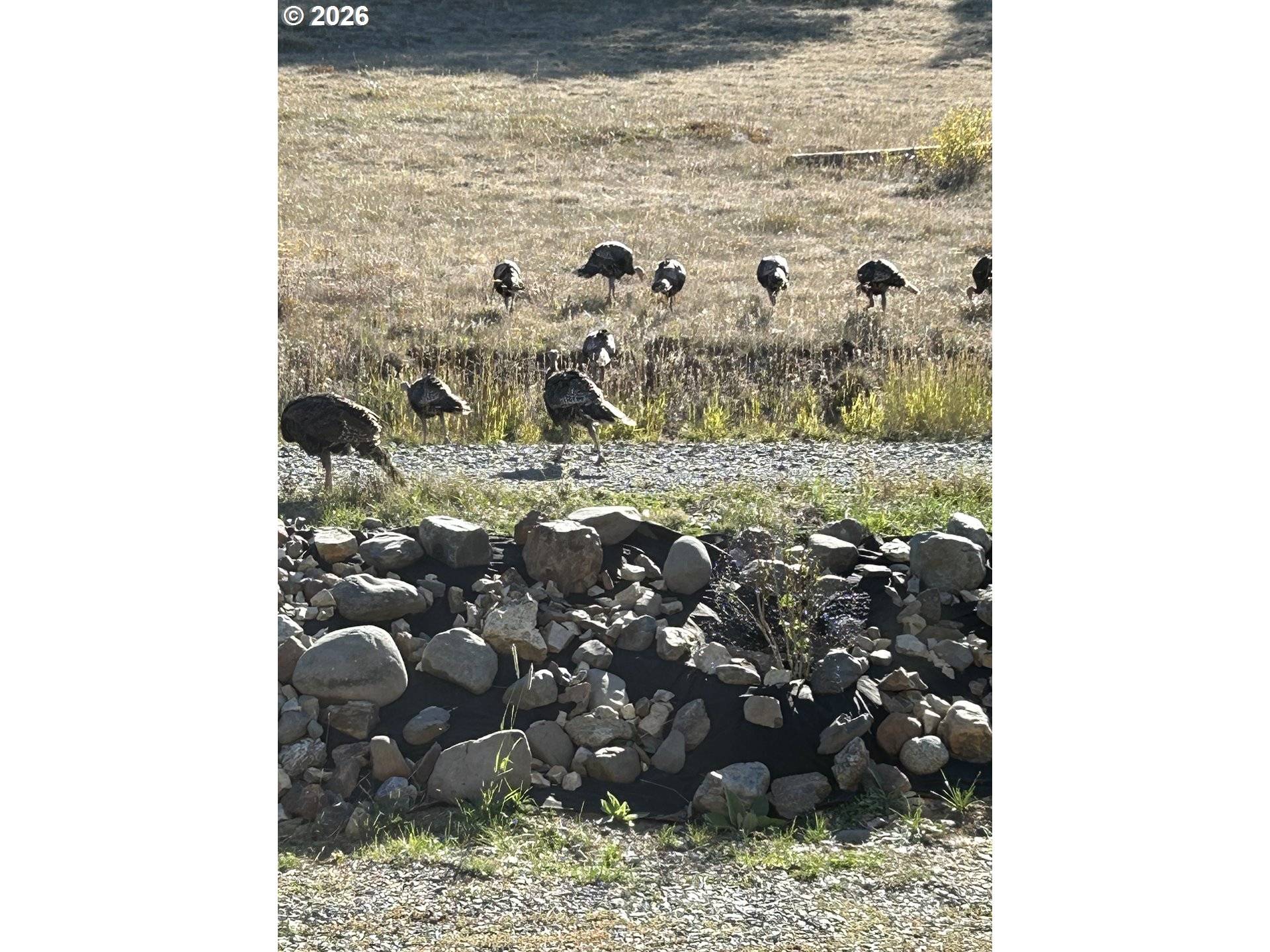 1575 McCann ST, Granite, OR 97877