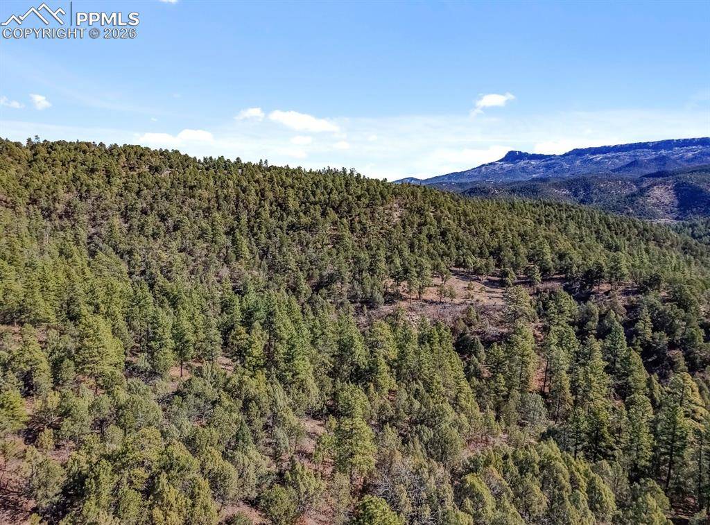 230 Old Mission RD, Trinidad, CO 81082