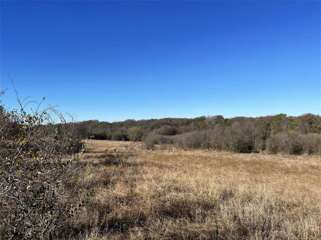 13 Bounds Road #13 Acres, Gunter, TX 75058