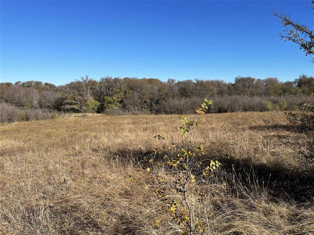 13 Bounds Road #13 Acres, Gunter, TX 75058