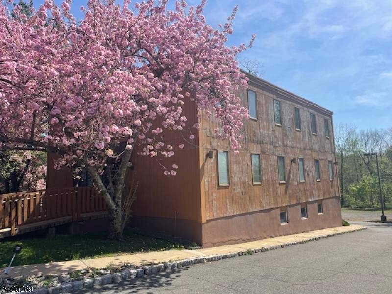 930 Mount Kemble Ave, Harding Twp., NJ 07960