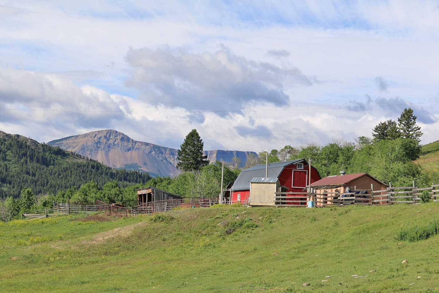 6106 Hwy 774 HWY, Beaver Mines, AB T0K 1W0