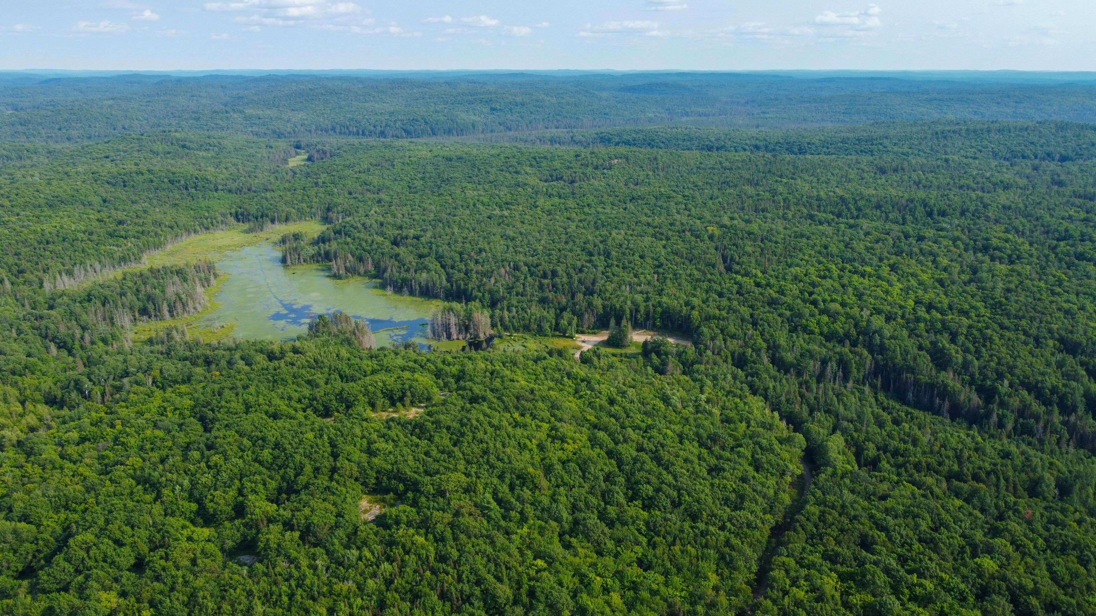 Lot 16 Grand Desert RD, Bonfield, ON P0H 1E0