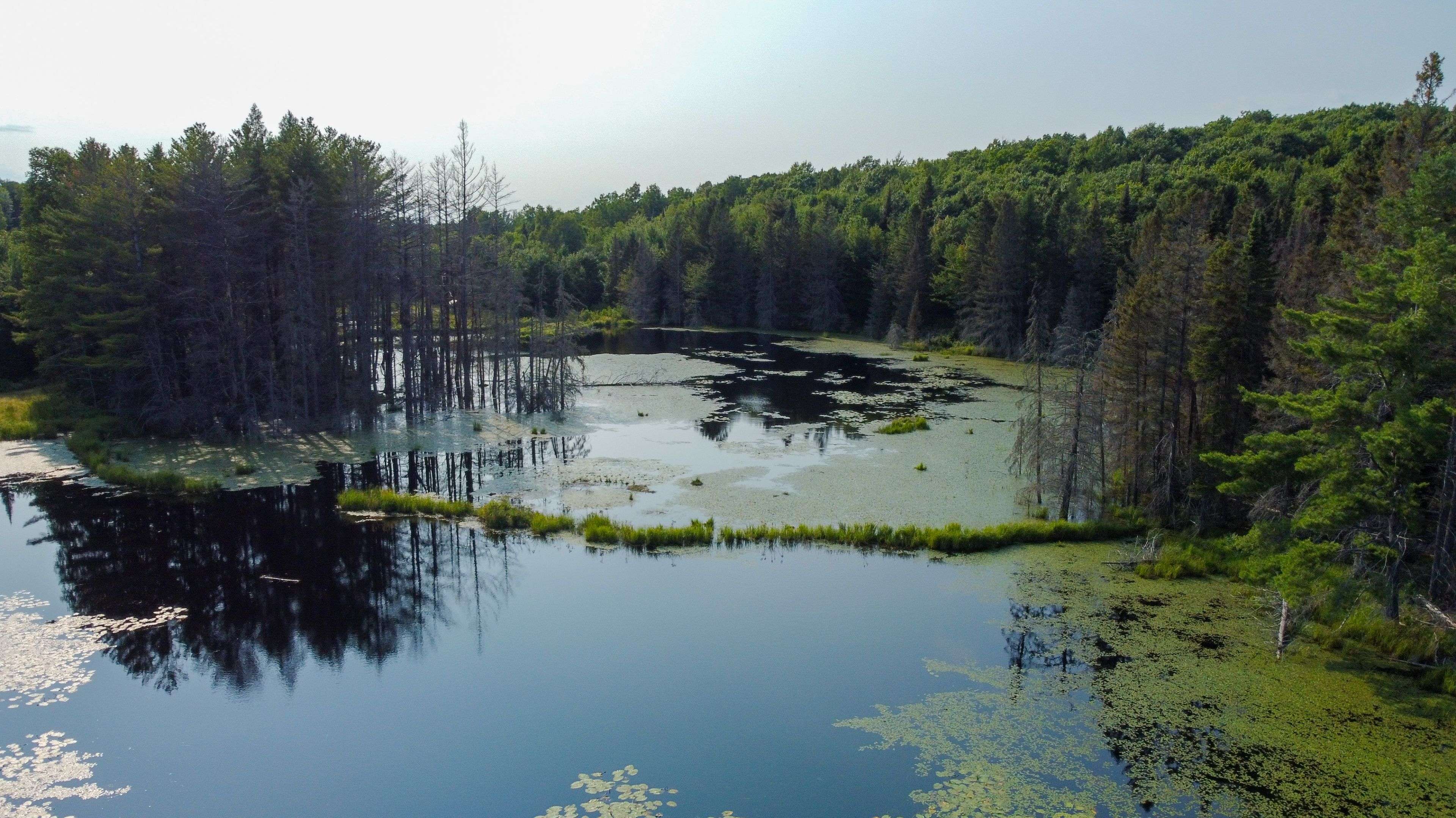 Lot 16 Grand Desert RD, Bonfield, ON P0H 1E0