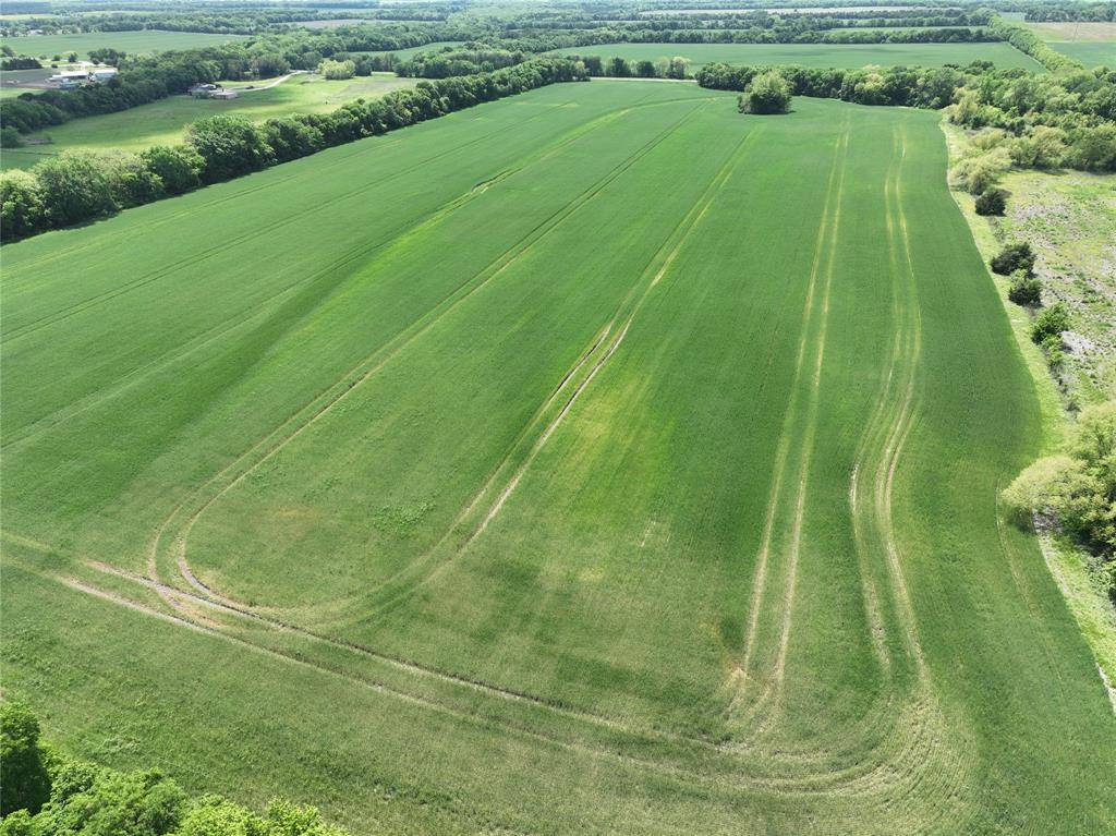 001 FM 1552, Bailey, TX 75413