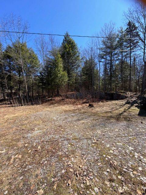 1464 Buckslide RD, Algonquin Highlands, ON K0M 1S0