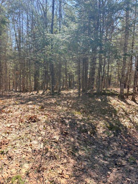 1464 Buckslide RD, Algonquin Highlands, ON K0M 1S0