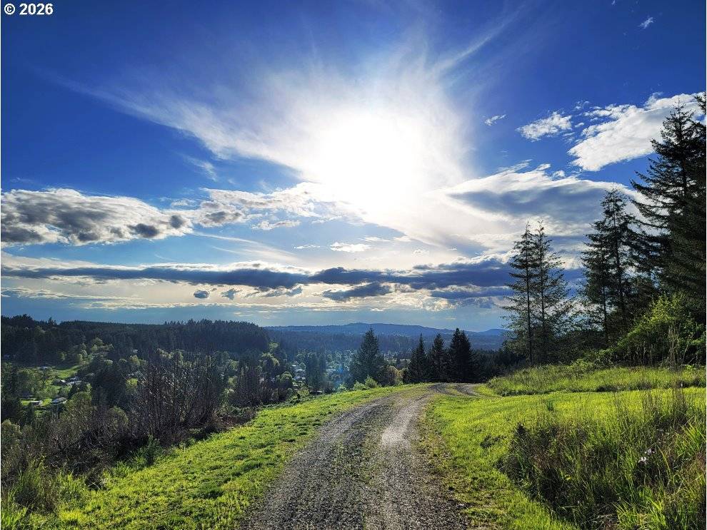 42255 AMES CREEK RD, Sweet Home, OR 97386