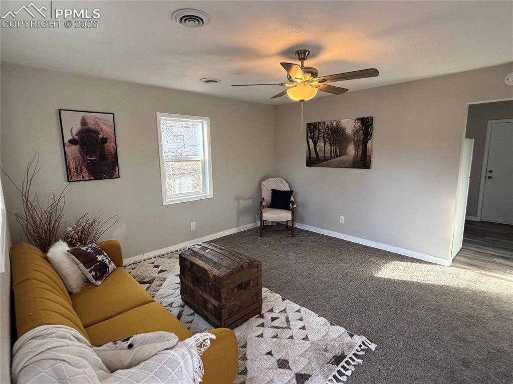 911 Elm AVE, Canon City, CO 81212