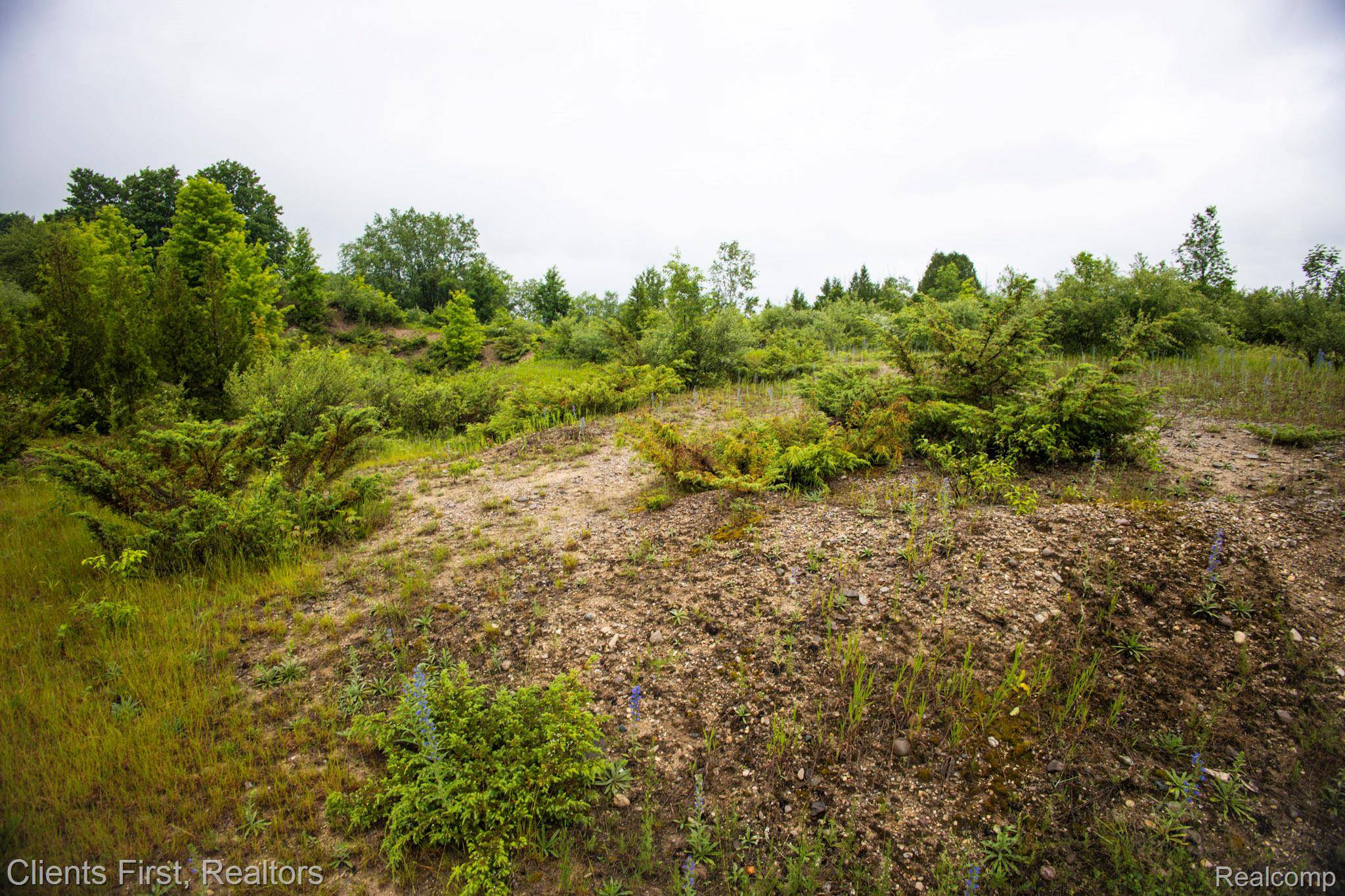 000 Veldkamp RD, Central Lake Township, MI 49622