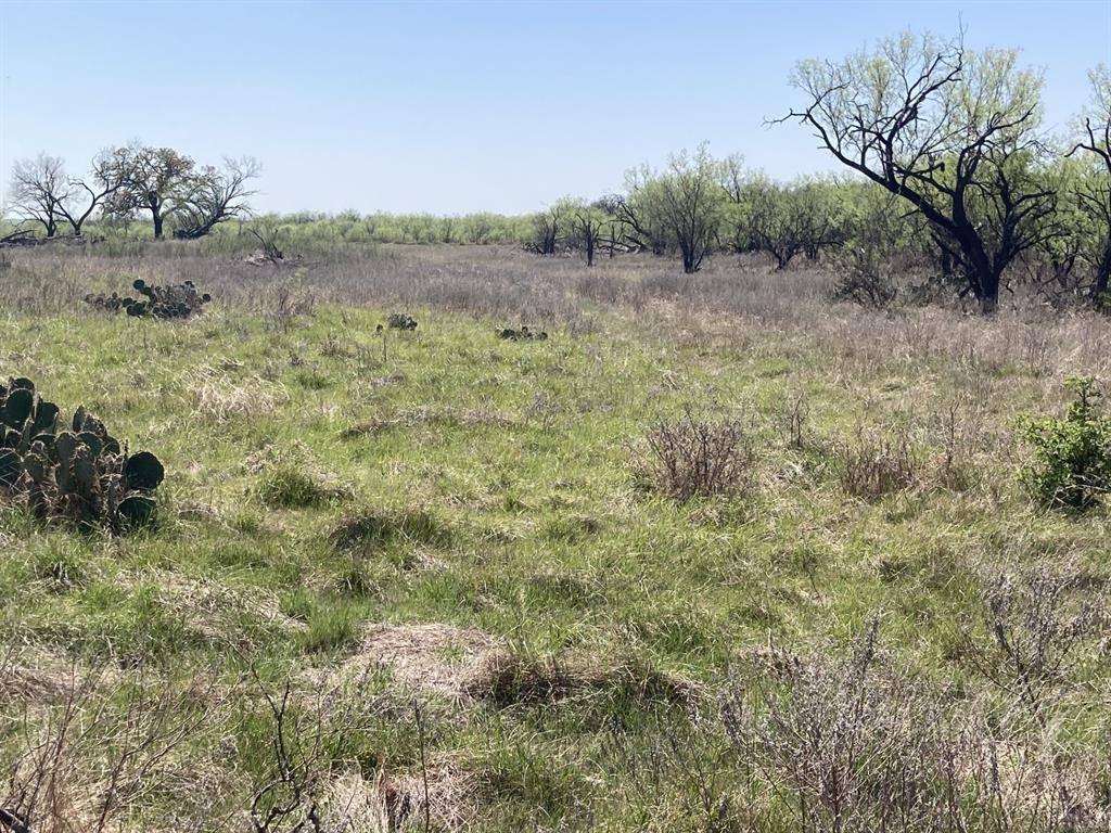 0000 Medlan Chapel Road, Graham, TX 76450