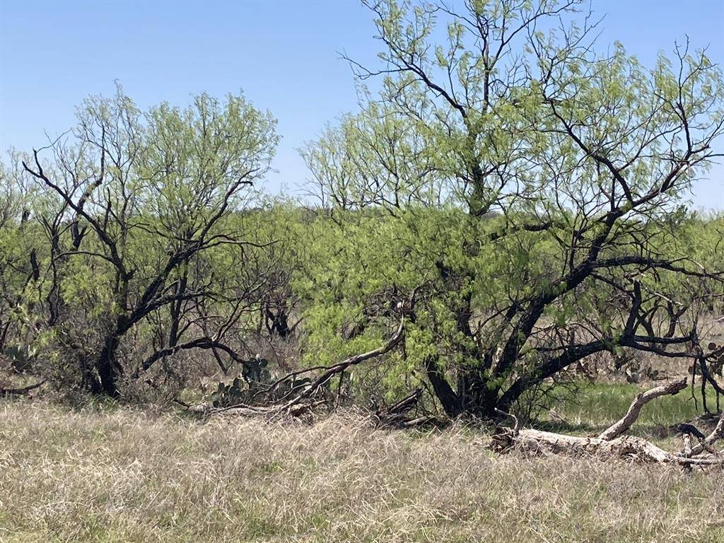 0000 Medlan Chapel Road, Graham, TX 76450