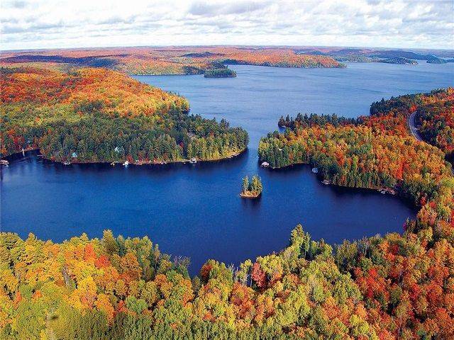 1020 BIRCH GLEN RD, Lake Of Bays, ON P0B 1A0