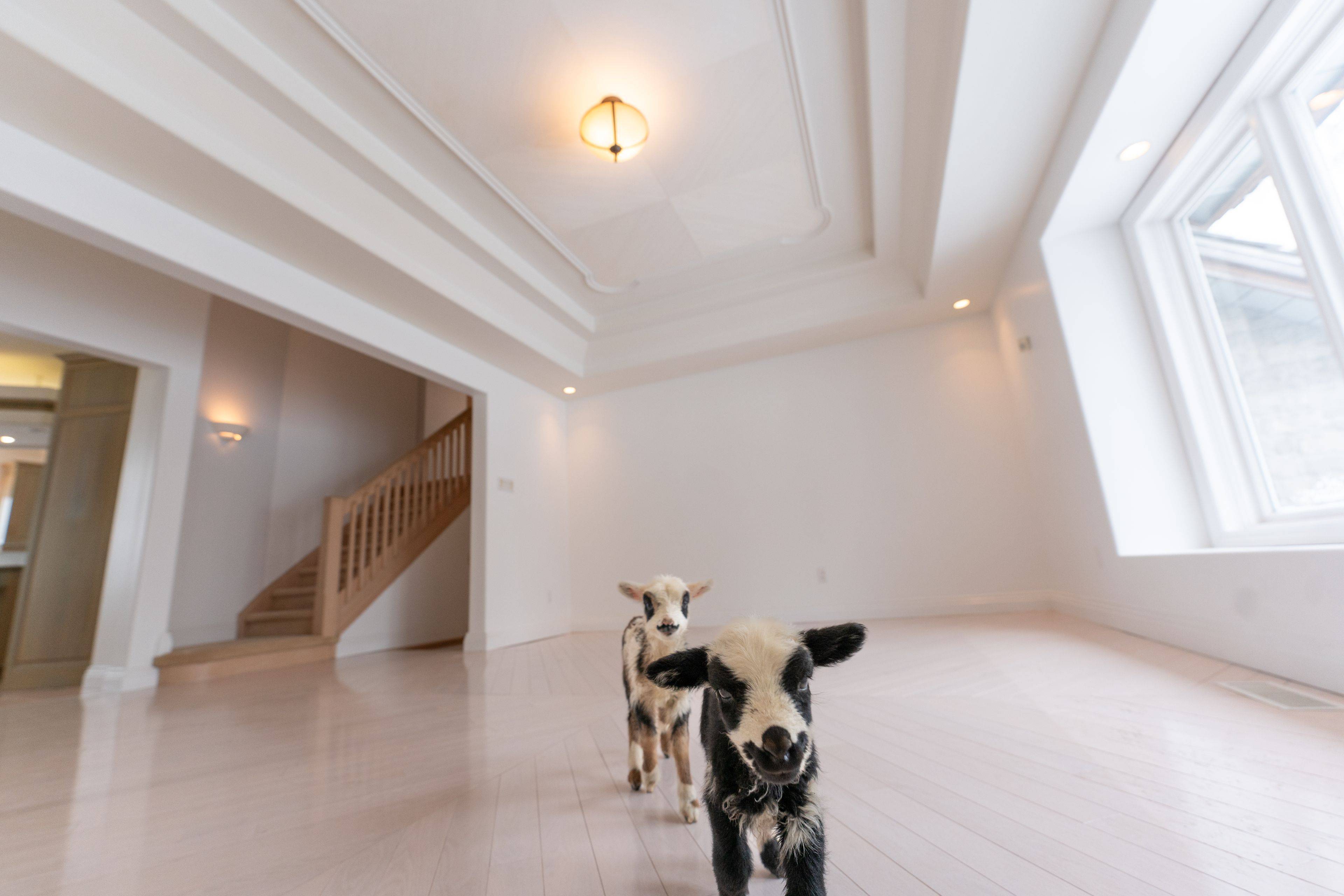 101089 10th Side Road, East Garafraxa, ON L9W 7J9