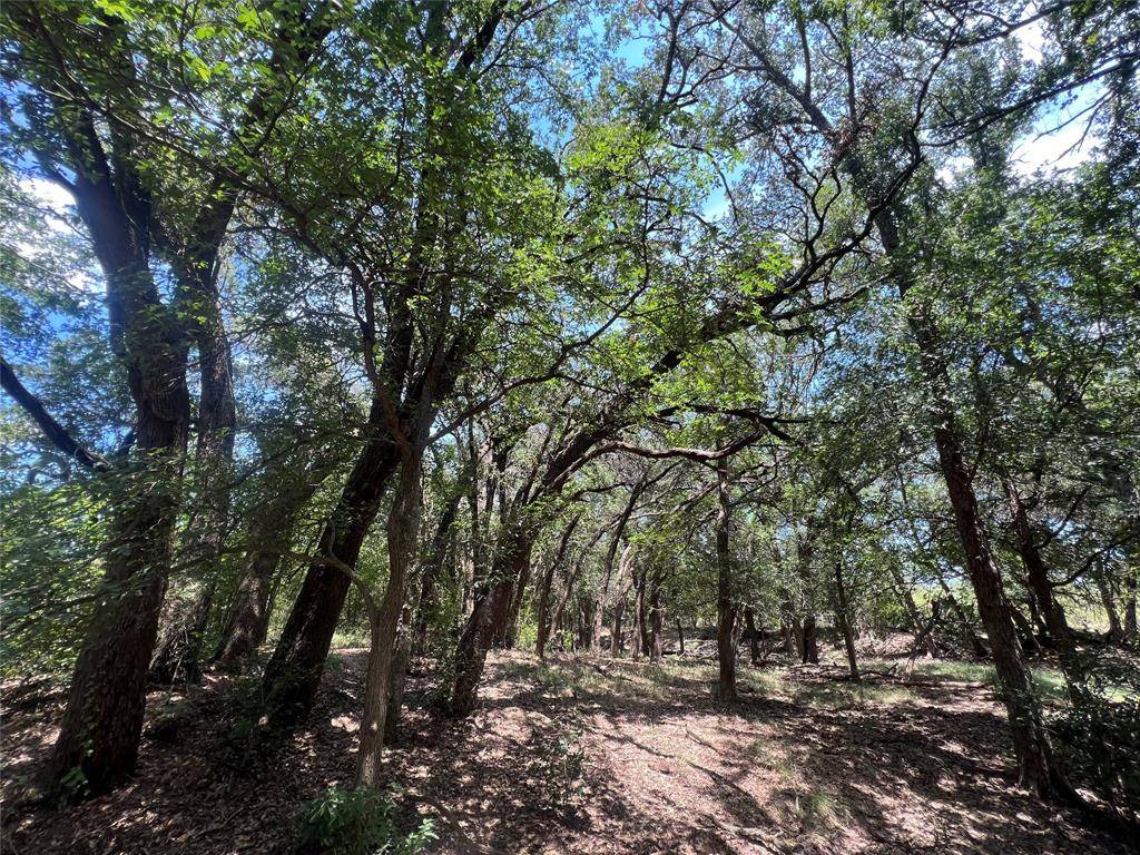 137 COUNTY ROAD 137, Cisco, TX 76437