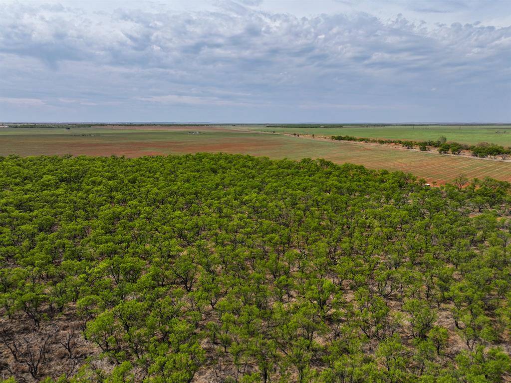 TBD Cr 134, Old Glory, TX 79540