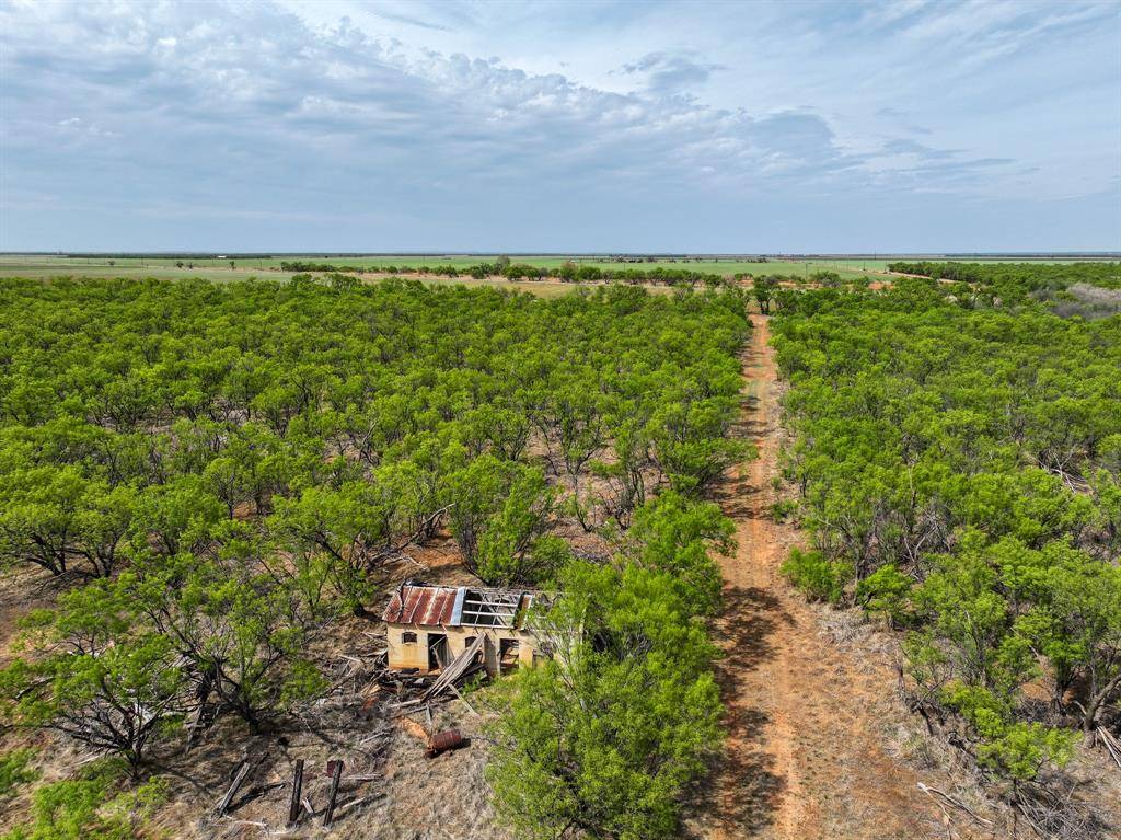 TBD Cr 134, Old Glory, TX 79540