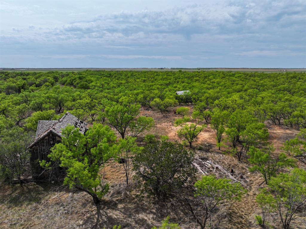 TBD Cr 134, Old Glory, TX 79540