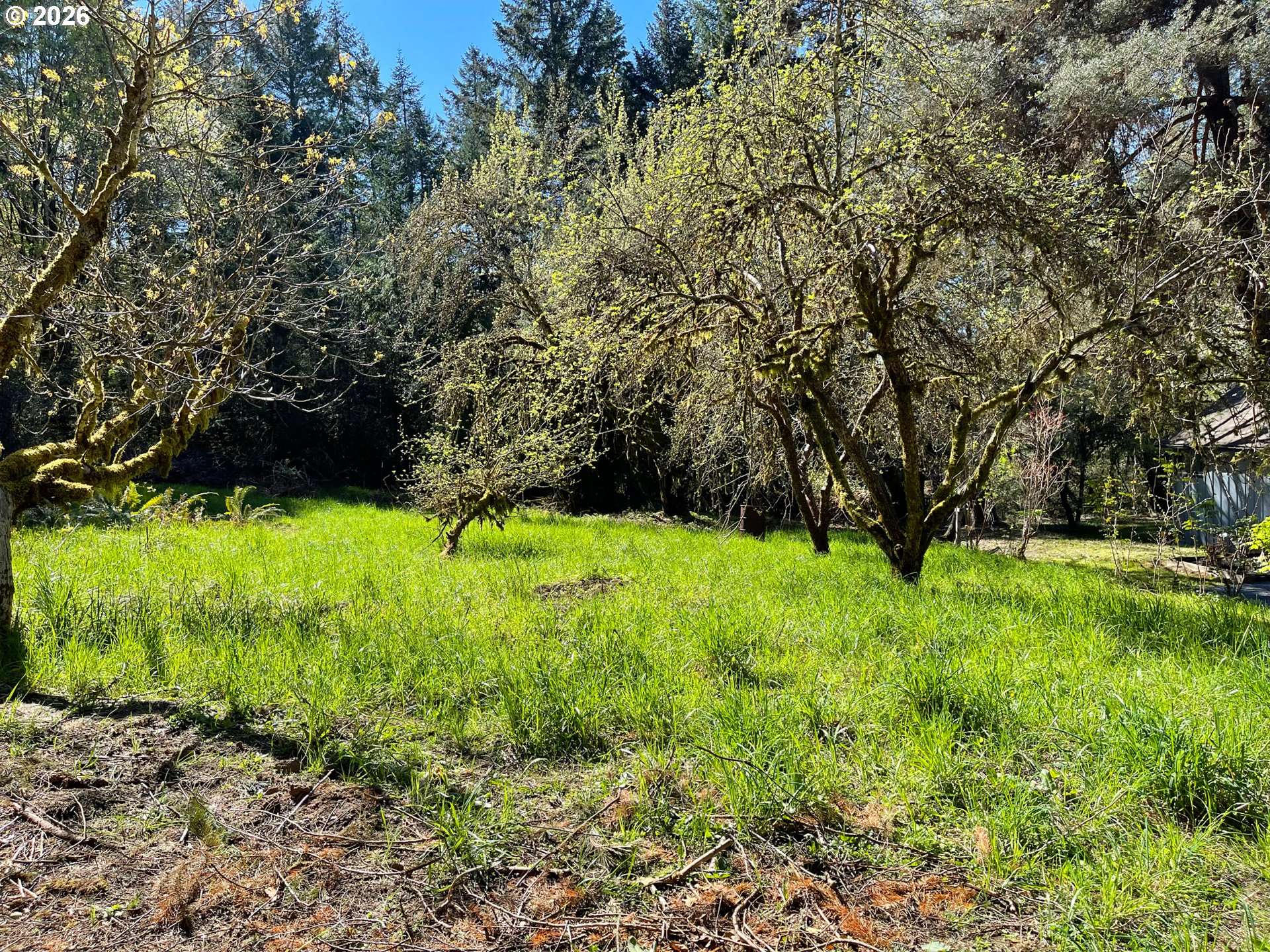 49640 NW SOUTH RD, Gaston, OR 97119