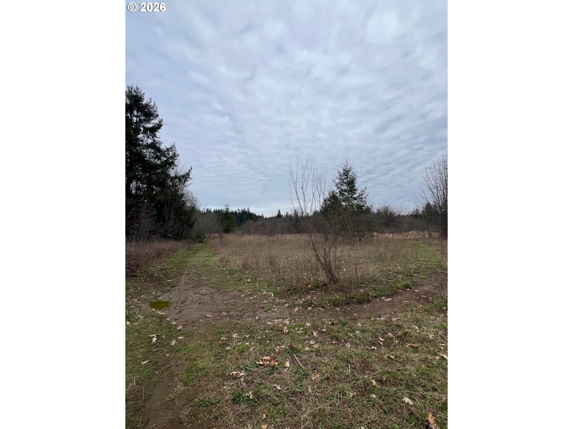 0 NE LEWISVILLE HWY, Battle Ground, WA 98604