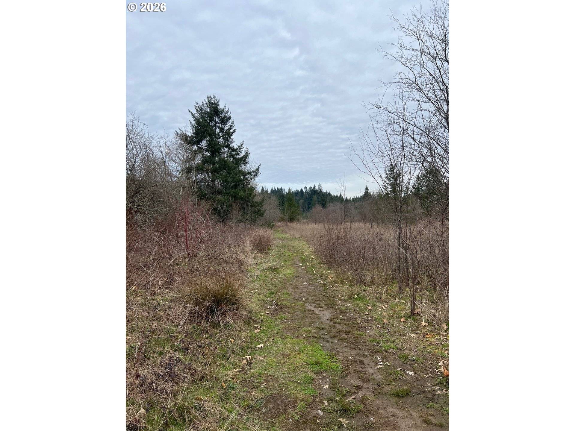 0 NE LEWISVILLE HWY, Battle Ground, WA 98604