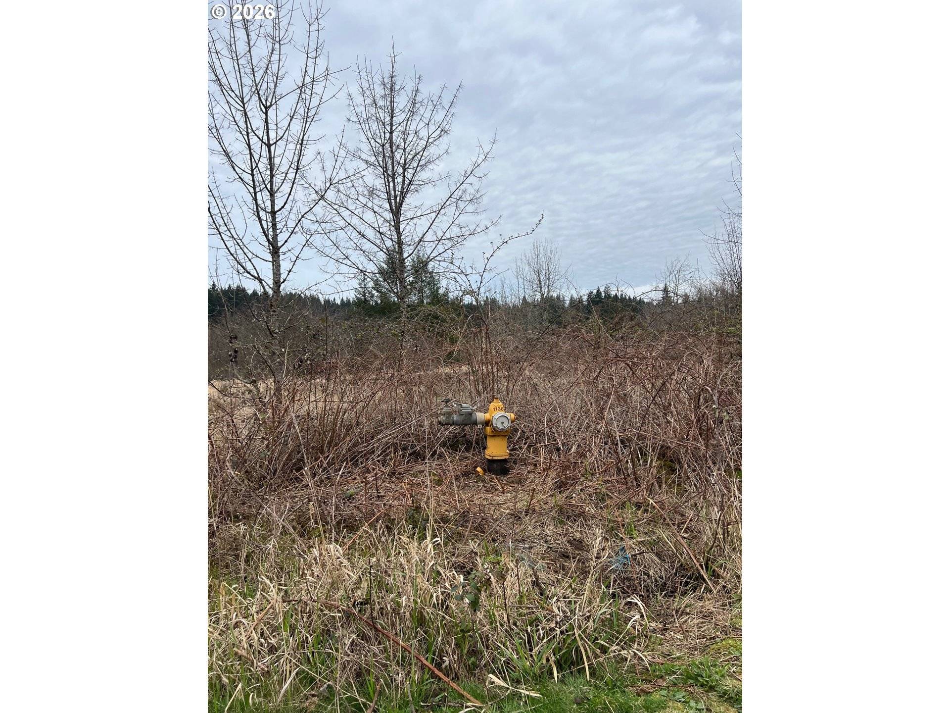 0 NE LEWISVILLE HWY, Battle Ground, WA 98604