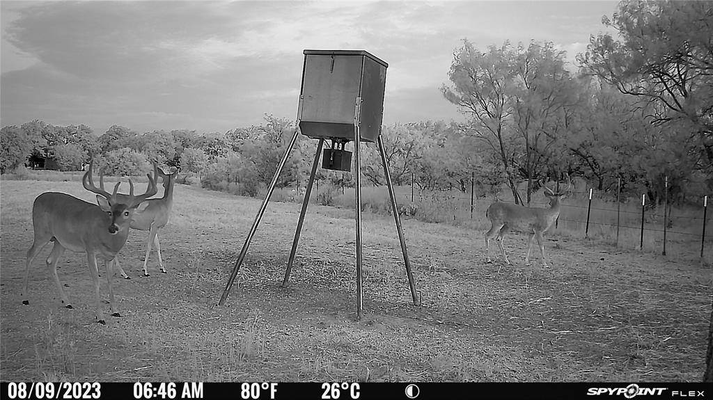 2417 Highway 569, Cisco, TX 76437