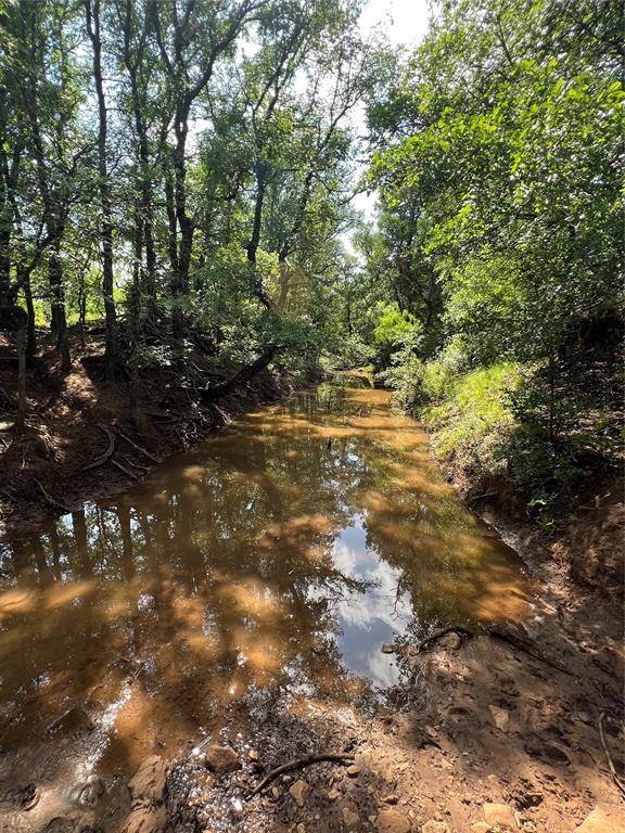 TBD County Road 137 Road, Cisco, TX 76437