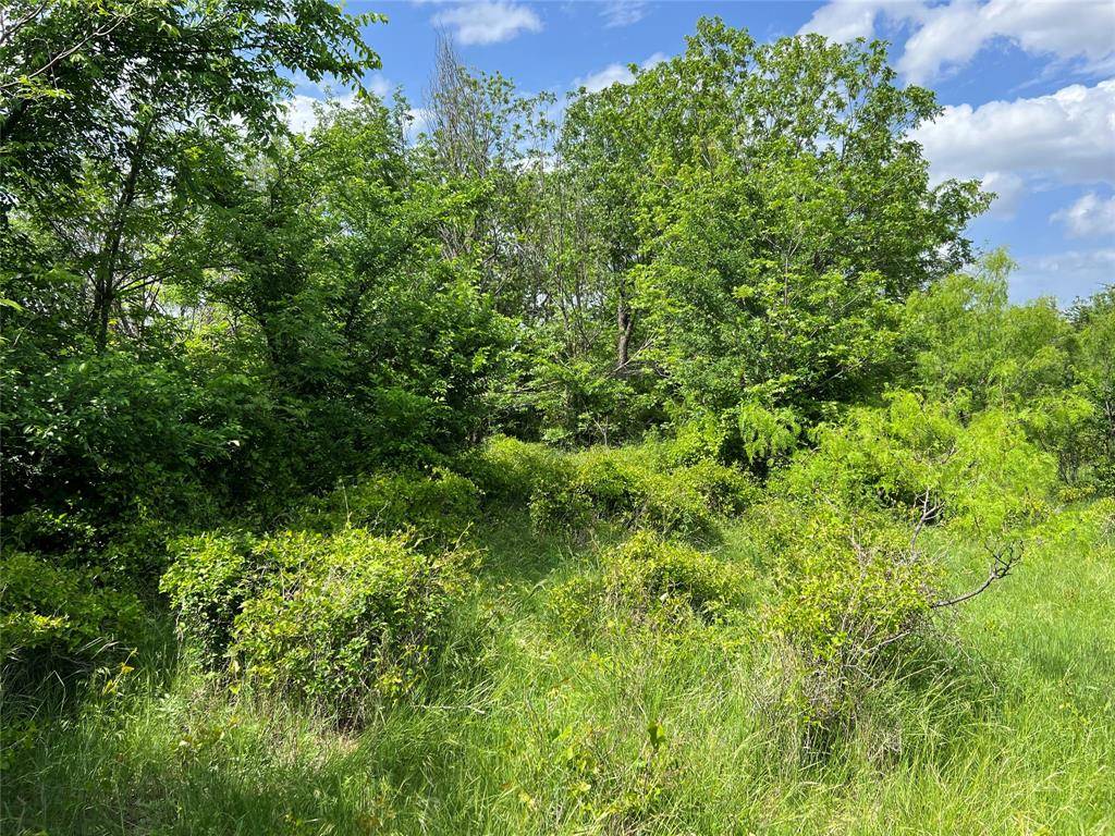 TBD County Road 137 Road, Cisco, TX 76437