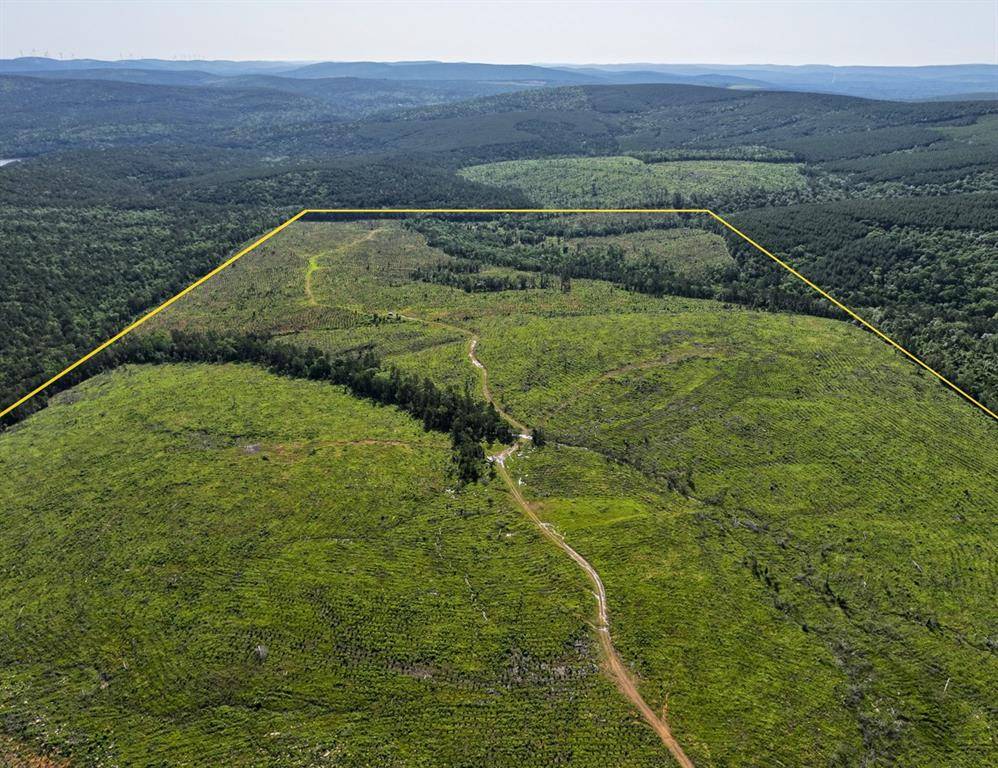 0 D4289 Road, Antlers, OK 74536