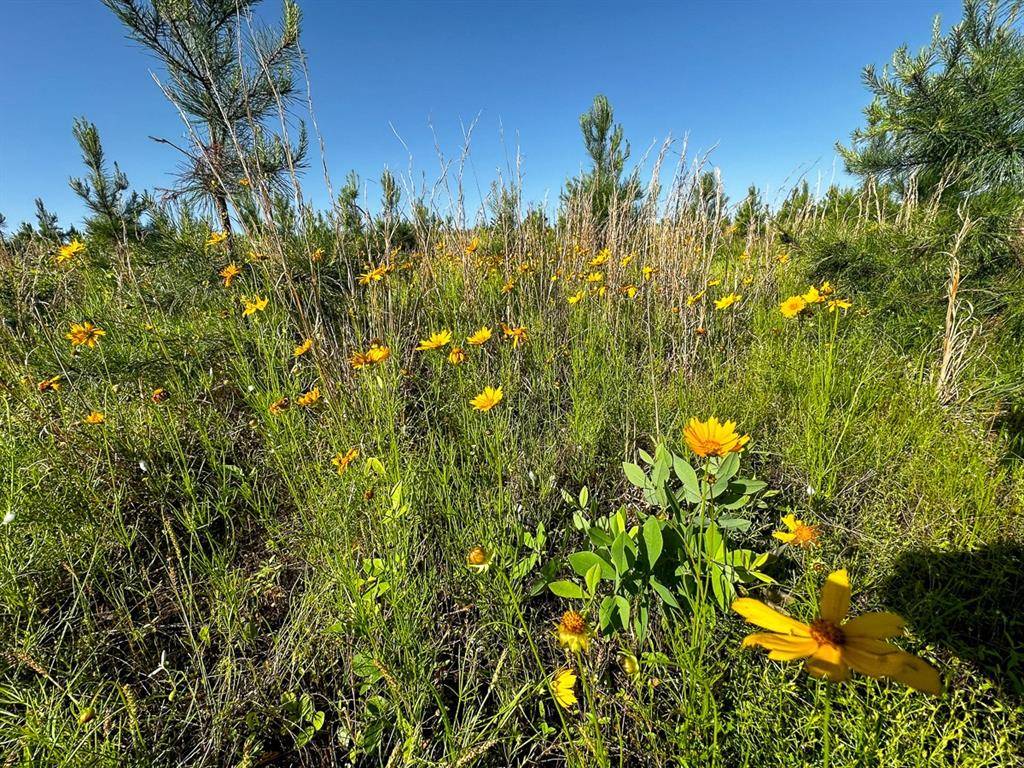 0 D4289 Road, Antlers, OK 74536