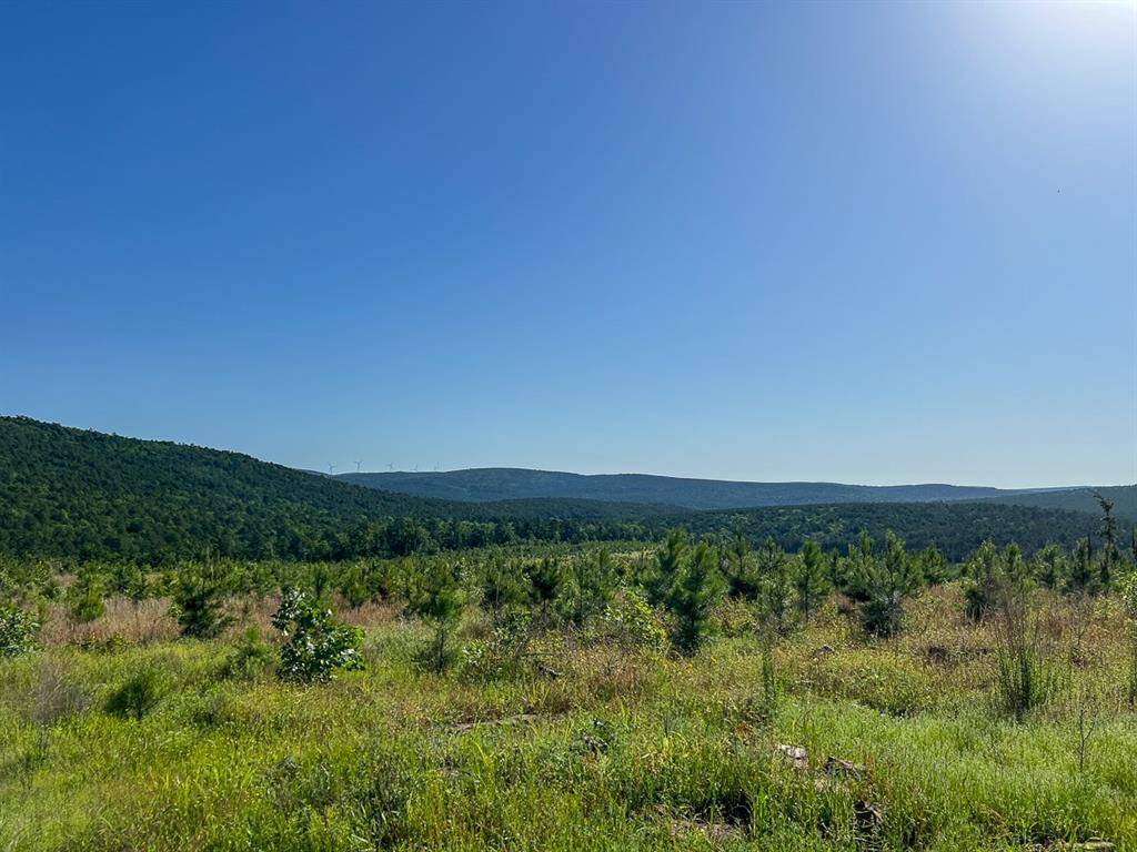 0 D4289 Road, Antlers, OK 74536