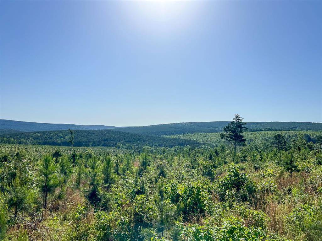 0 D4289 Road, Antlers, OK 74536