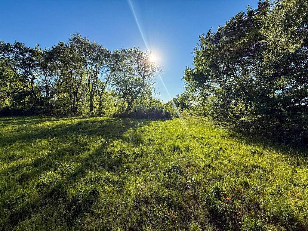 TBD County Road 1165, Brashear, TX 75420